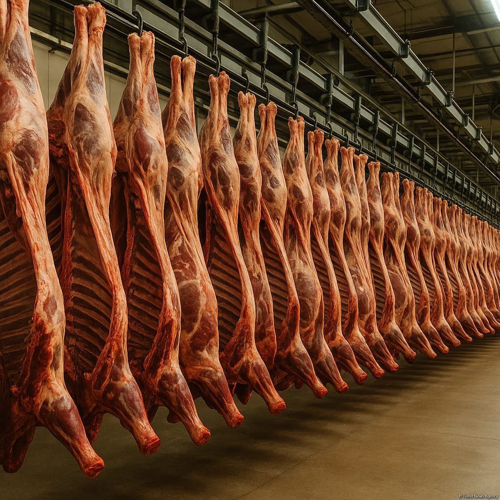 Azerbaijan’s meat production rises while imports shrink in 4M2025